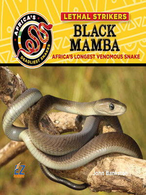 cover image of Black Mamba: Africa's Longest Venomous Snake